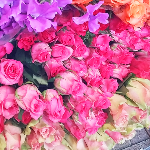 店舗いけこみ、定期装花